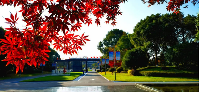 271701043535112801.png image.png