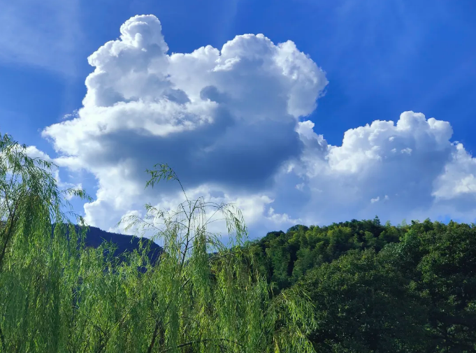 101760063158144316.png image.png